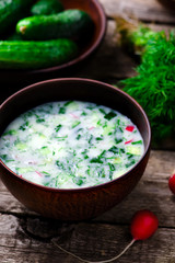okroshka, traditional Russian cold soup