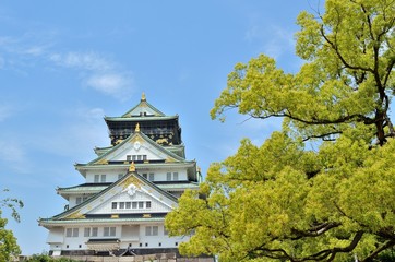 Fototapeta premium 大阪城