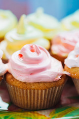 Dessert Sweet Gourmet Cupcakes With Multi-colored Frosting