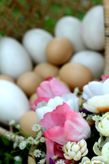 easter eggs and white eggs with artificial flowers