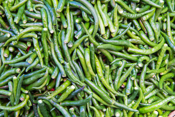 Green chillies for sale at market,Thailand