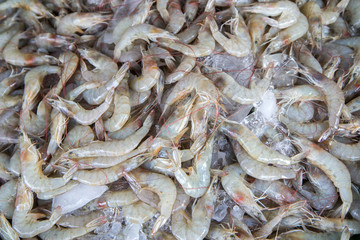 Fresh shrimp at the market,Thailand