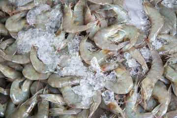 Fresh shrimp at the market,Thailand