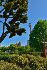 晴れた日の山下公園