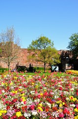Castle and flowerbed, Shrewsbury.