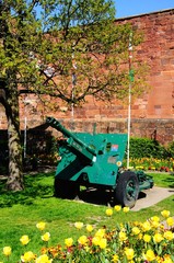 Fototapeta premium Cannon outside castle, Shrewsbury.