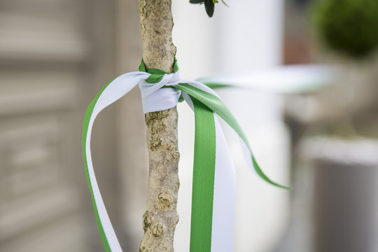 Einweihung und Er&ouml;ffnung mit Band an einem Baum