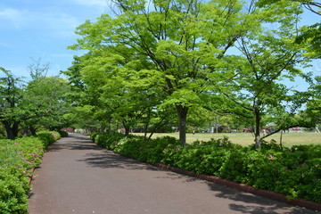公園