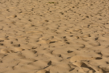 beach sand  in the summer