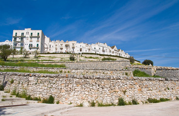 Fototapeta premium Panoramic view of Locorotondo. Puglia. Italy.