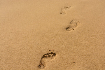 Fototapeta na wymiar Footsteps on beach