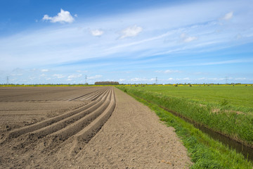 Furrows in a sunny plowed field in spring