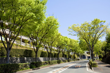 横浜の山の手住宅街新緑