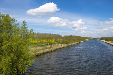 Fototapeta na wymiar Wild flowers along a sunny canal in spring