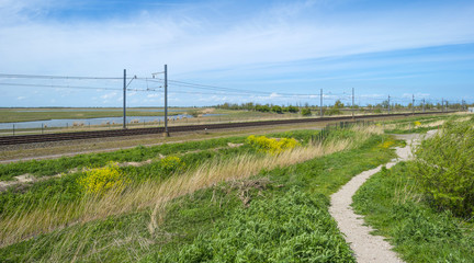 Railroad through sunny nature in spring