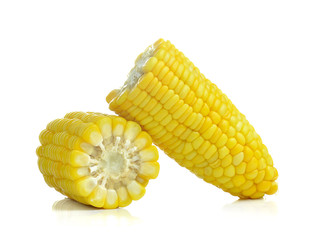 corn on white background