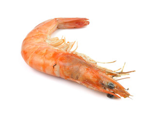 shrimp isolated on white background