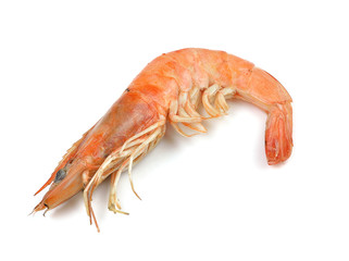 shrimp isolated on white background