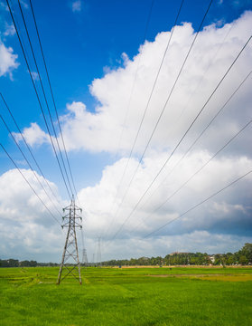 Power Towers on green paddy fields in Sri Lanka