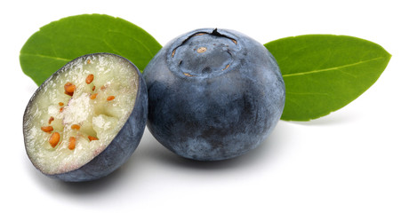 Blueberry