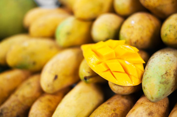 Mango fruit in nature with soft light