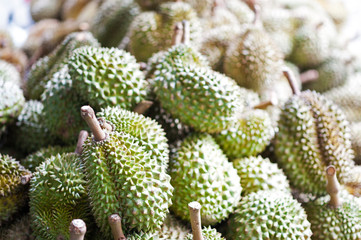 An Durian nature fruit in southeast asia .