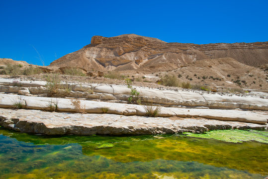 Water in the desert of Negev, Israel