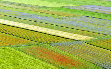 Piano Grande di Castelluccio (Italy)