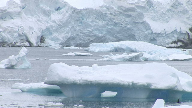 Icebergs in the water, Paradise Harbour, Antarctica