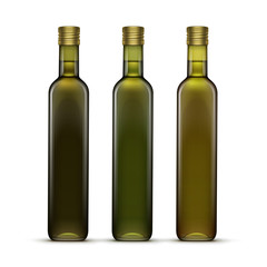 Vector Set of Olive or Sunflower Oil Glass Bottles