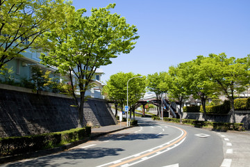 横浜の山の手住宅街新緑