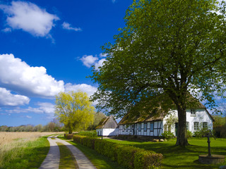 Bauernhaus mit Reetdach und Fachwerk in Schleswig-Holstein