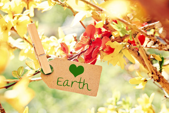 nature greeting card background - loving earth