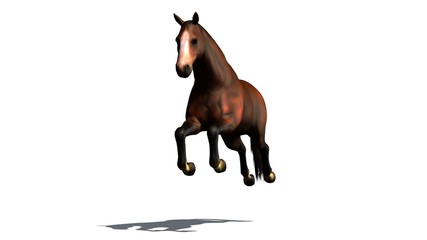 brown horse jumps isolated on white background