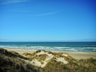 Obraz premium In den Dünen am Strand