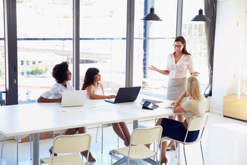Businesswoman presenting to colleagues at a meeting
