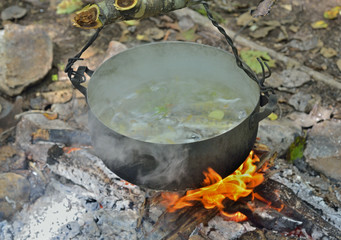 Cooking fish-soup 4