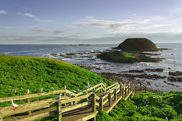 Phillip Island skyline (Great Ocean Road, Australia)
