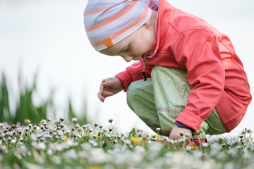 blumen pfl&uuml;cken