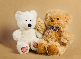 Two toy bears. One white, other brown. 