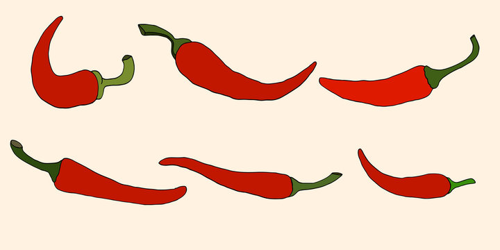 Pepper, vector illustration