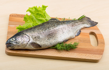 Raw fresh trout