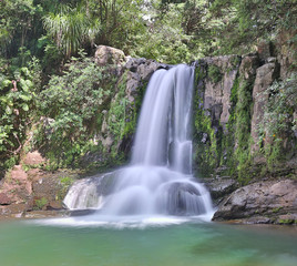 Fototapeta na wymiar Waiau Falls (Coromandel, New Zealand)