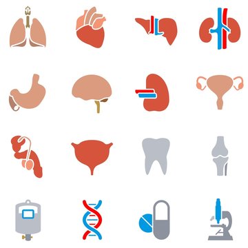 Organs color icons
