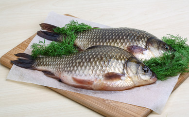Two crucian