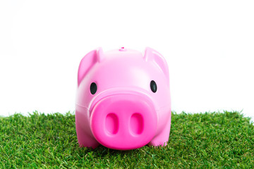 Piggy bank on green grass