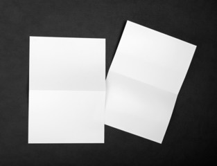 blank white folding paper flyer