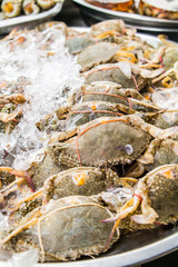 Fresh Crabs in the market