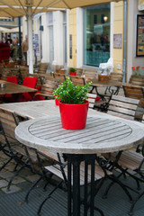 Fototapeta na wymiar Cute little pot plant on outdoor table.
