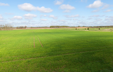Green field.